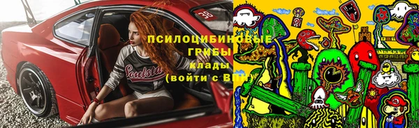 герыч Бронницы