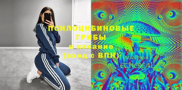 герыч Бронницы