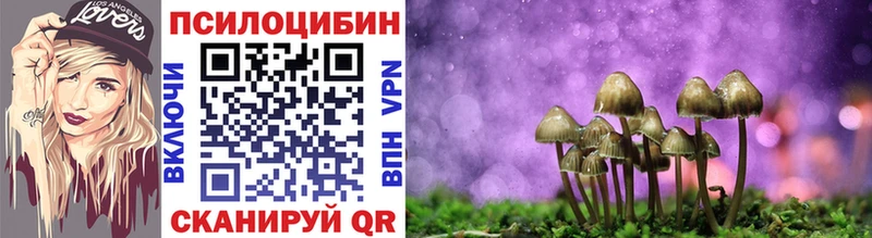 Галлюциногенные грибы MAGIC MUSHROOMS  сколько стоит  Брянск 